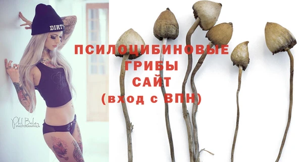 2c-b Иннополис